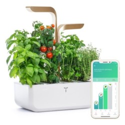 Potager d'interieur...