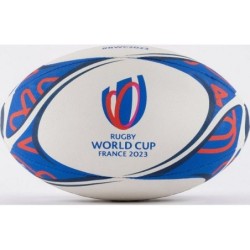 Ballon de rugby officiel...