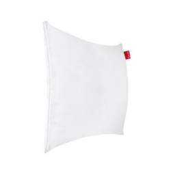 Oreiller CHRYSALIDE 65 x 65...