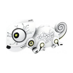 Robot CAMELEON