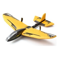Avion radiocommande Hornet