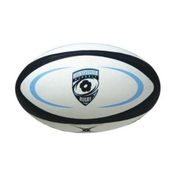 Ballon de rugby officiel...