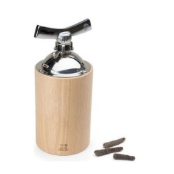 Moulin a poivre longs ISEN...