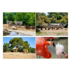 Sejour Zoo au choix 4 pers...