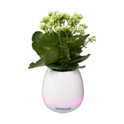 Enceinte sans fil Bluetooth...