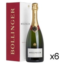 Champagne Brut Special...