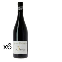 Vin rouge Saumur Champigny...