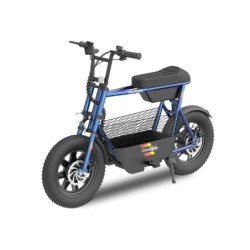 Draisienne électrique...